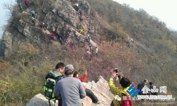 图片10
