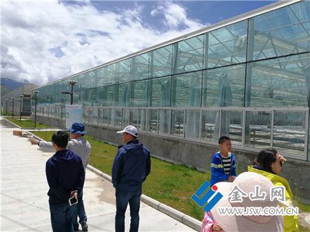 195835358633535015_副本