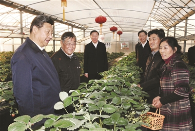 2014年12月，习总书记在赵亚夫的介绍下，参观世业农业园。（资料图片）