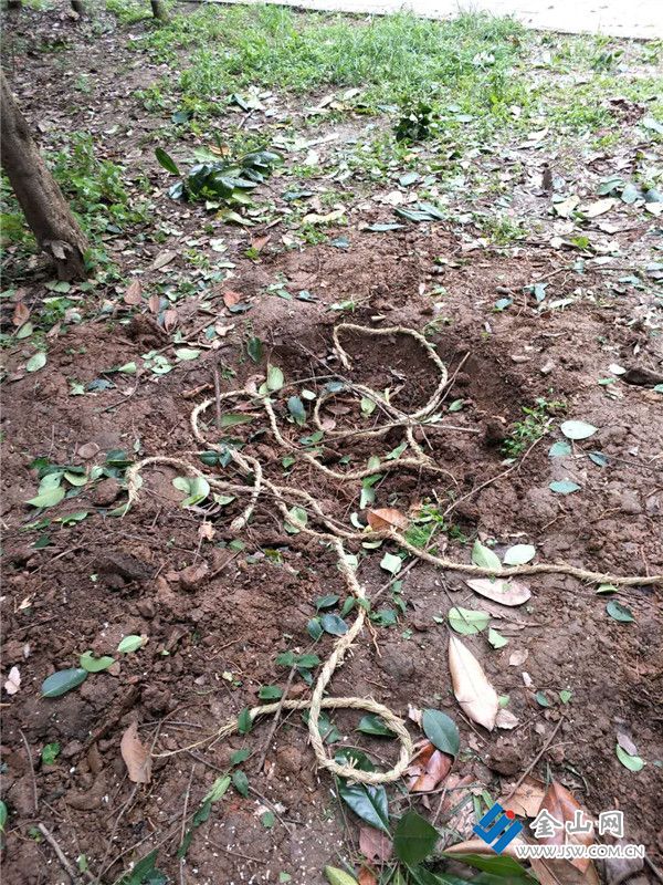 855377800430966783_副本