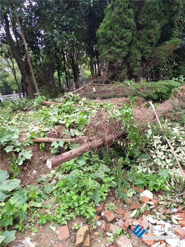 670877533130166189_副本