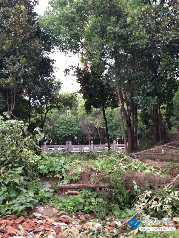 227485223436757180_副本