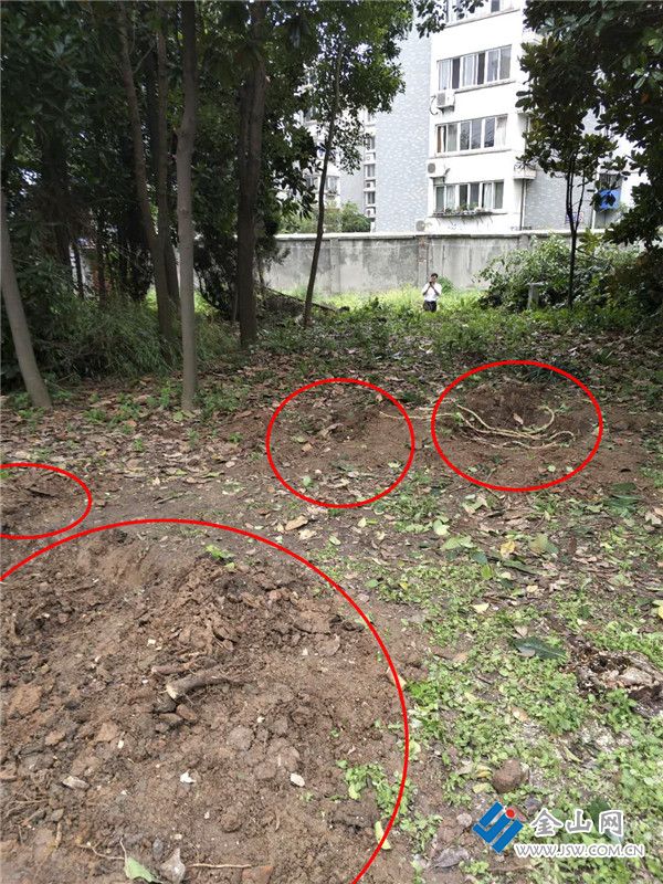 微信图片_20180823202035_副本