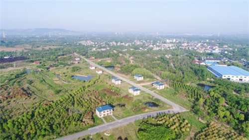 唐陵村木易园全景。_副本