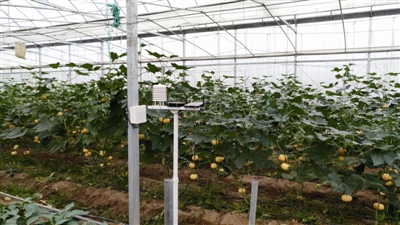 镇江市推广物联网为农业插上腾飞翅膀_我苏网