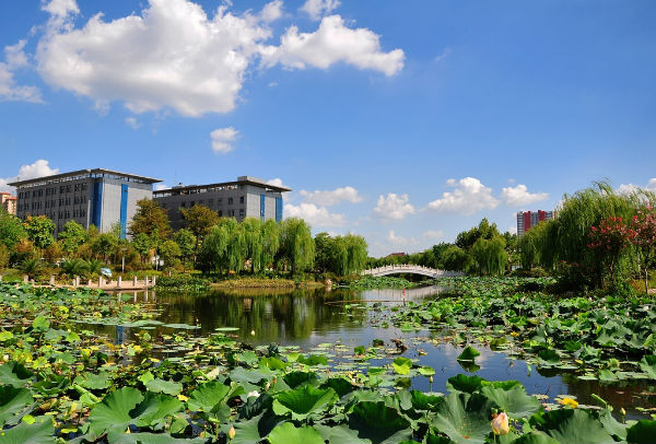 江苏扬中:百姓共享蓝天下"鲜"生活