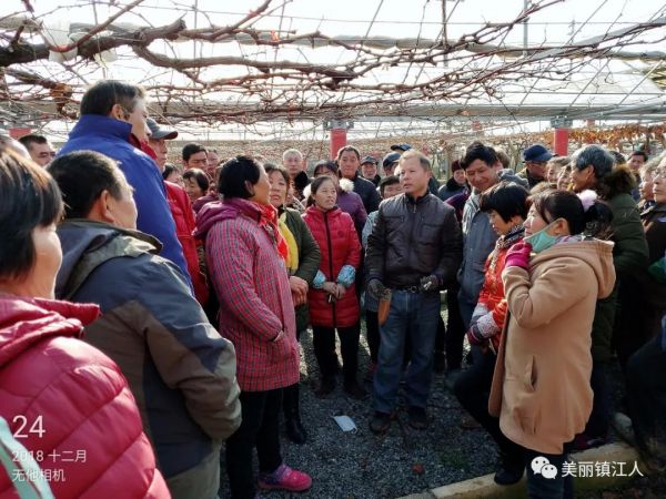 芮东明（中间穿皮夹克者）在葡萄架下为农户现场授课。