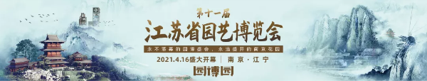 最全剧透 | 南京的这个园博园到底有什么不一样的地方?