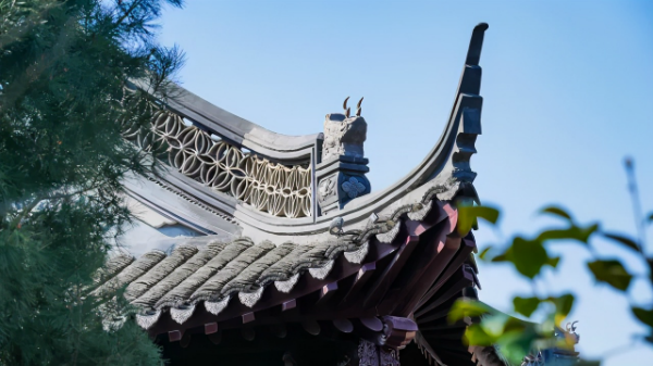 最全剧透 | 南京的这个园博园到底有什么不一样的地方?