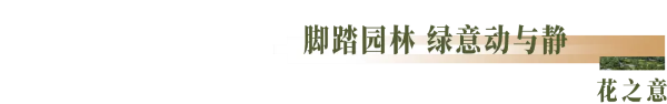 最全剧透 | 南京的这个园博园到底有什么不一样的地方?