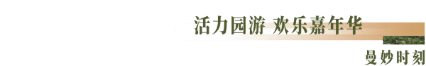 最全剧透 | 南京的这个园博园到底有什么不一样的地方?