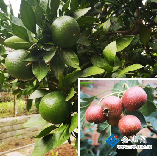 微信圖片_20210526113557