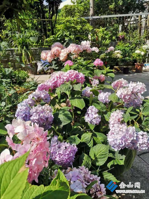 微信圖片_20210526113003