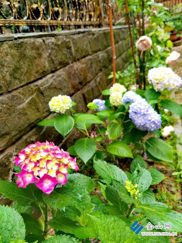 微信圖片_20210526113015