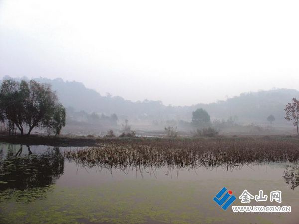 2010年秋，拆遷后的西荷花塘。