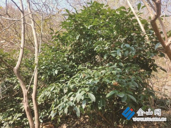 2ba5ad13-b449-43cd-9bc0-6e69a38f5069