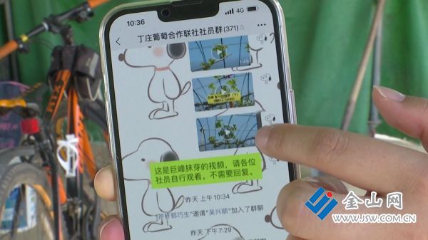 downLoad-20220414042054