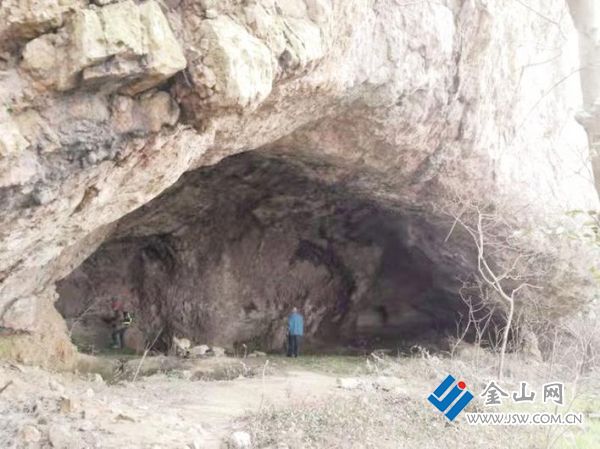 7a0f869d-b956-4135-a0ef-47fa271dd8cc