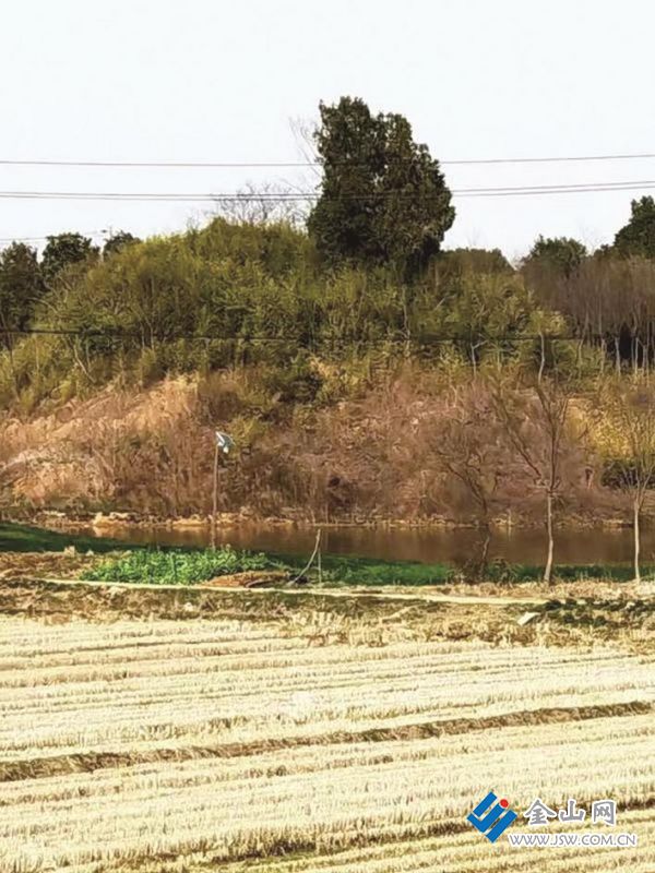 村民認為的康母勞氏墓址 圖：沈伯素 攝