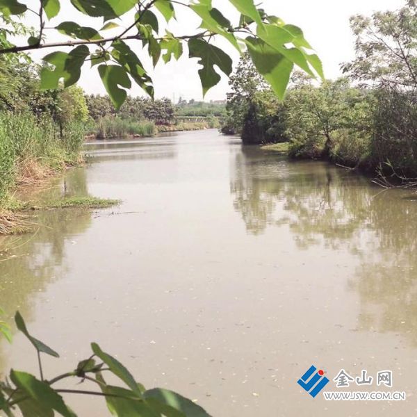 75d386de-4eb8-4f1c-aea6-9caf24624185