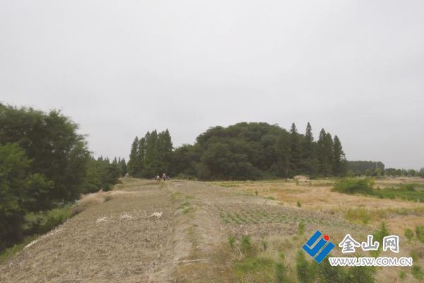 圖：王鐵牛 提供