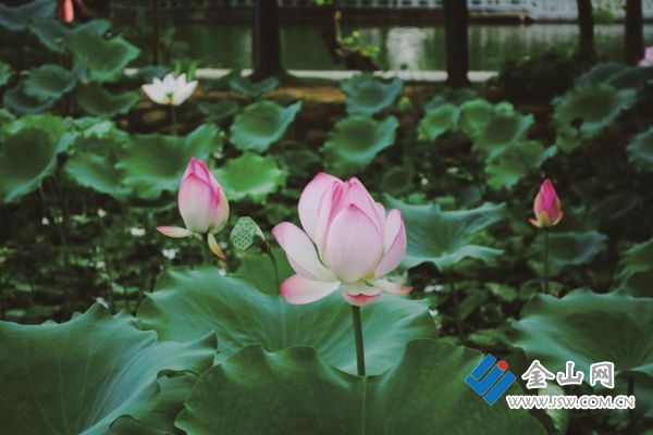 cbcdb465-c313-4235-836e-6745357a9872