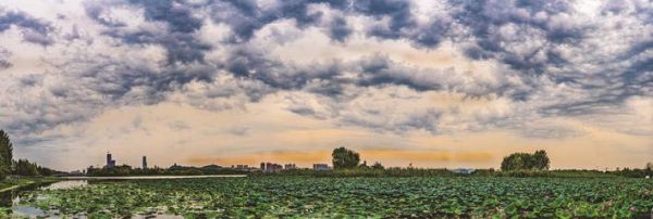 d9828e39-ffc3-449d-80e9-eec3f57fabc2