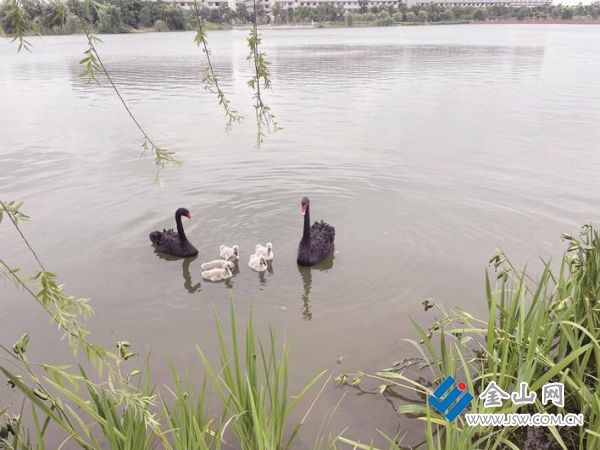 334805e4-b43e-4f6a-a711-36acecc65392