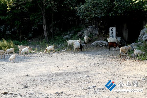 2012年南山旧貌张兴淮摄2