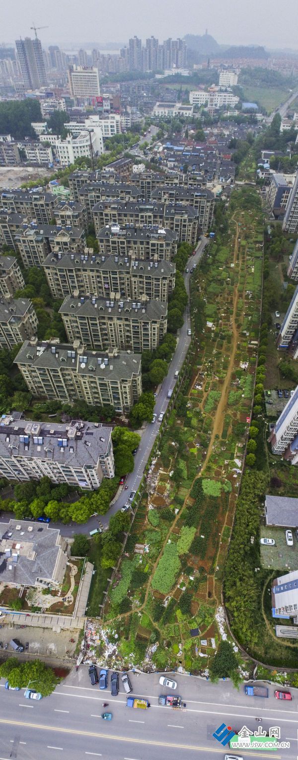 组三、现在的焦山路