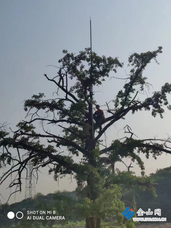 downLoad-20221021051821