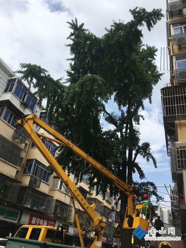 downLoad-20221021051823