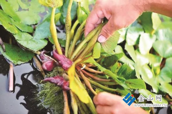 f1e855ad-642e-4053-a439-5d856cee0bad