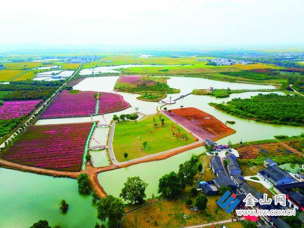 特色田园乡村—丹阳市延陵镇九里村九里