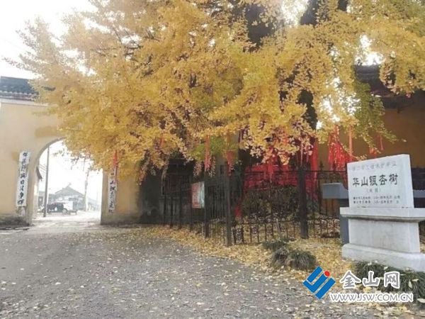 90d1a3eb-d903-491f-acf6-d6a98ff175cf