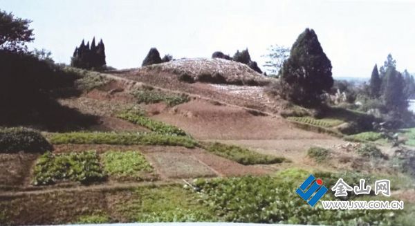 劉皇墓遠(yuǎn)景（西北向東南）