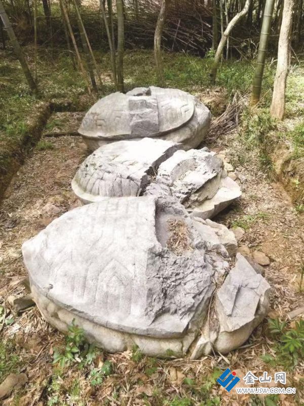 東鳳凰山下靳貴墓前石龜 圖：王禮剛 提供