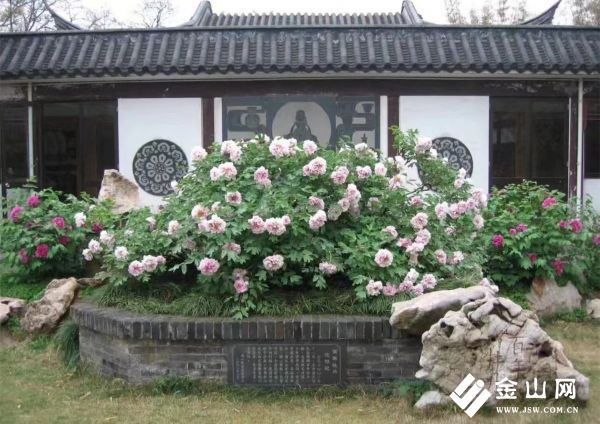 751f5ee3a72919578500bee524466718