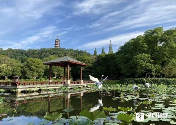 28c607d684f4bb08df4ccd85a3fe1184