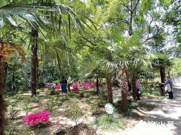 50ddb885094440022a37ca01e0c8f909