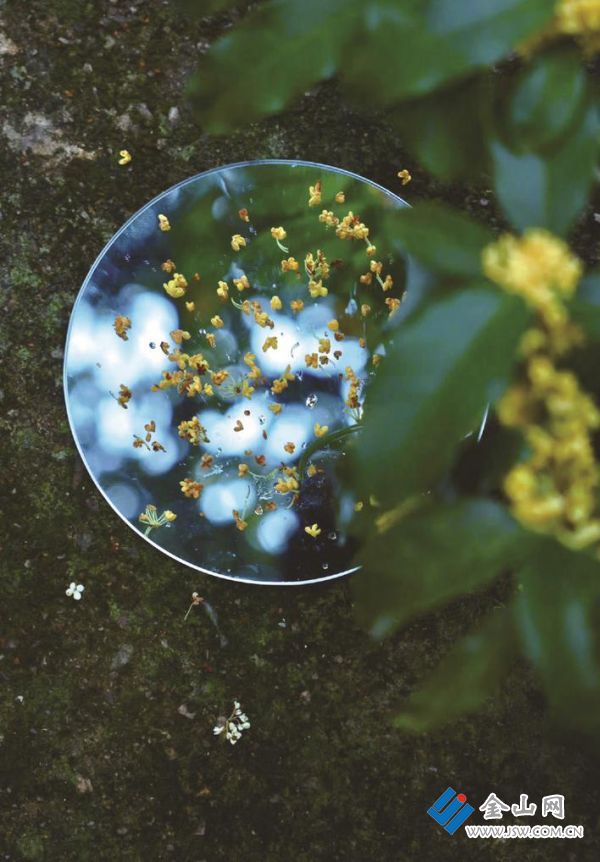 76e3c488-189e-4d7c-9b54-9a19da175ecf