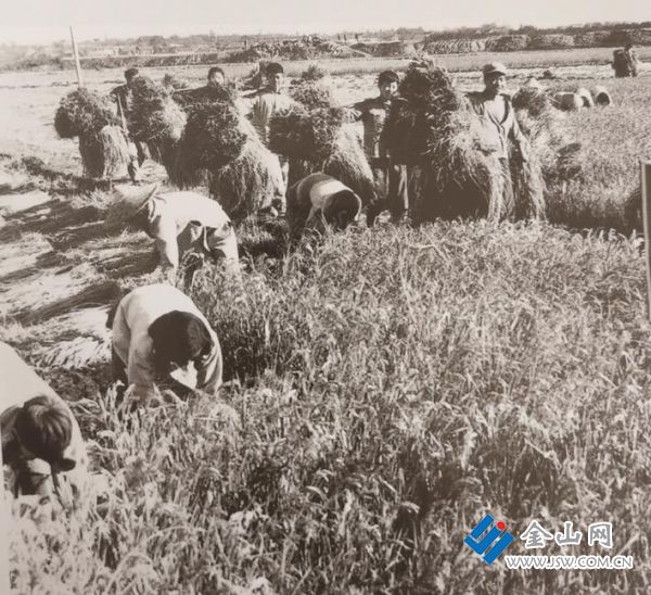 6bb7c9b6-1b68-4f8d-87b5-1322b8d81336