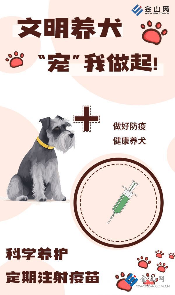 文明養(yǎng)犬3