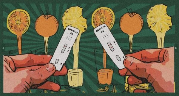 20230103dd636a85e1d844639c36688c07b8fe6d_202301036e8c2888bf7143308f8cff13bdbdd48c