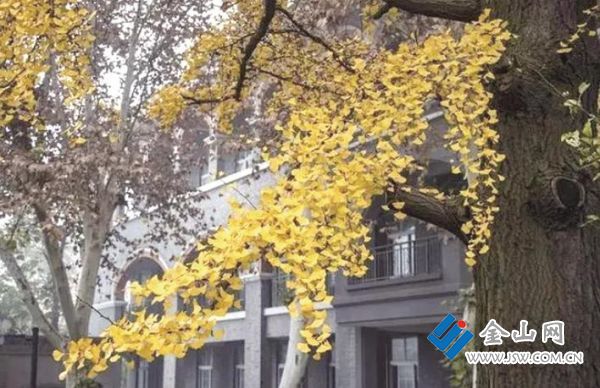 ffbb5354-57f3-4a8b-a389-ceb1a0495f7b