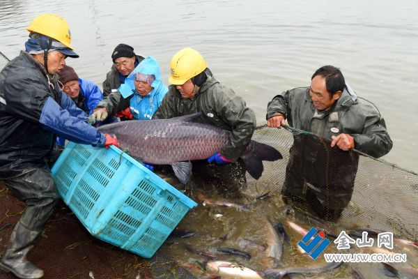 downLoad-20240201170900