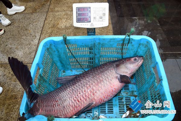 downLoad-20240201170903