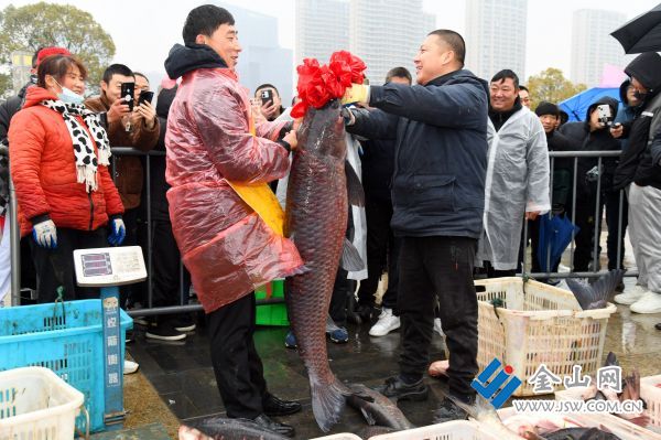 downLoad-20240201170906