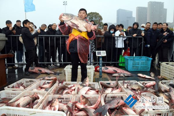 downLoad-20240201170911