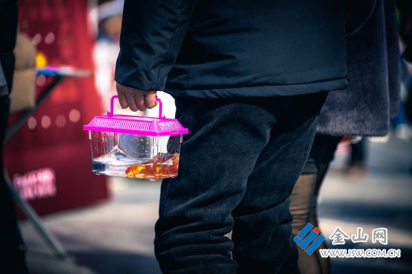 《孙子的礼物》20 240211-郁荣奇-13861376116.jpg